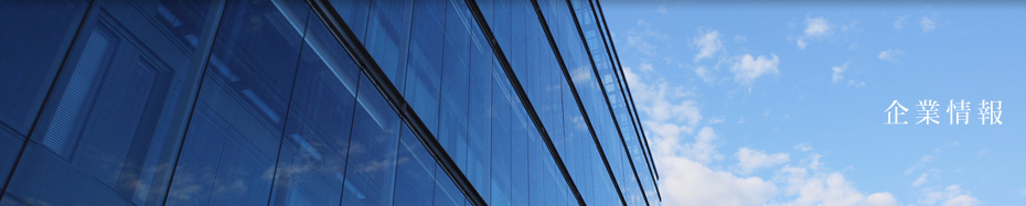 企業情報