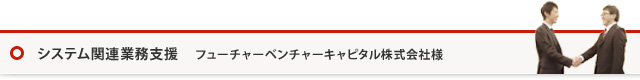 システム関連業務支援 フューチャーベンチャーキャピタル株式会社様