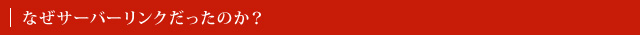 なぜサーバーリンクだったのか？
